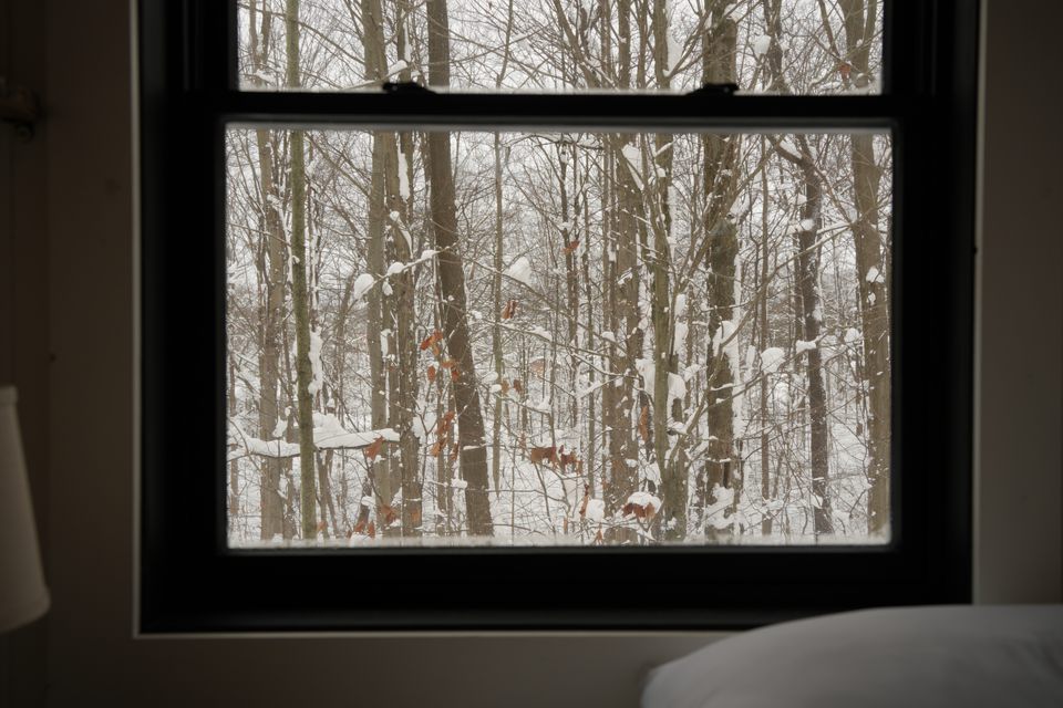 Snow-covered woods seen through a dark-framed window
