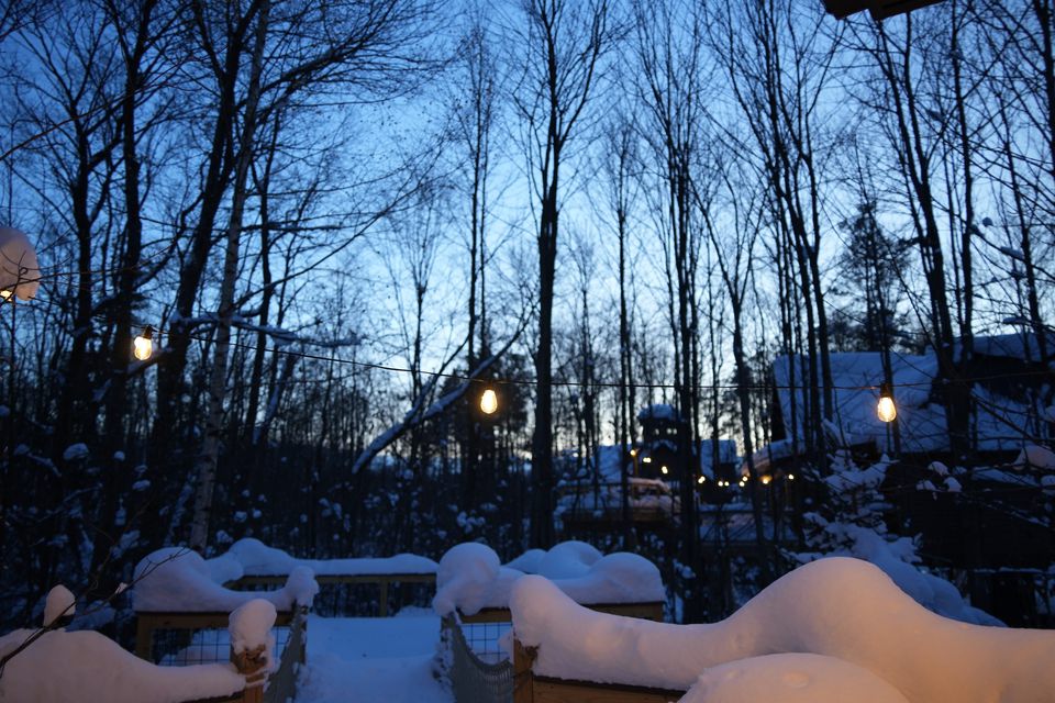 Deep snow on a deck with string lights among bare trees at blue hour