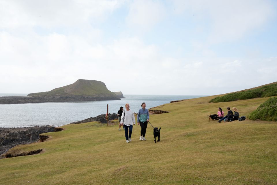 Walkers with a dog on a clifftop meadow, a long rocky headland in the sea behind