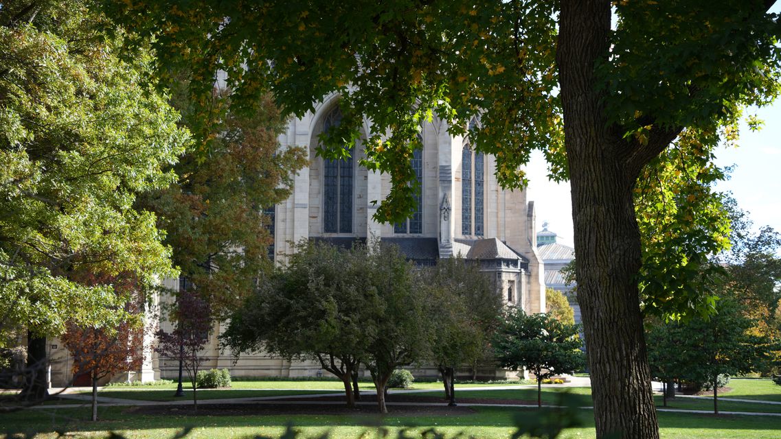 A stone church seen through sunlit trees across a lawn