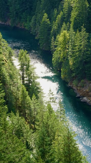 A turquoise river running through a steep forested gorge, seen from above