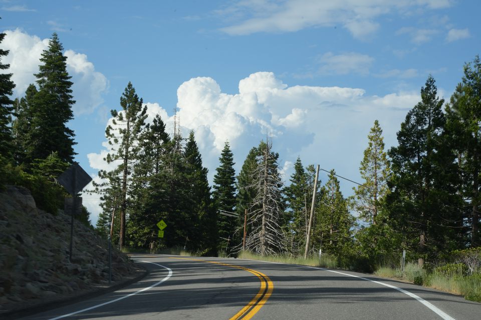 A two-lane mountain road curving between tall pines under white clouds