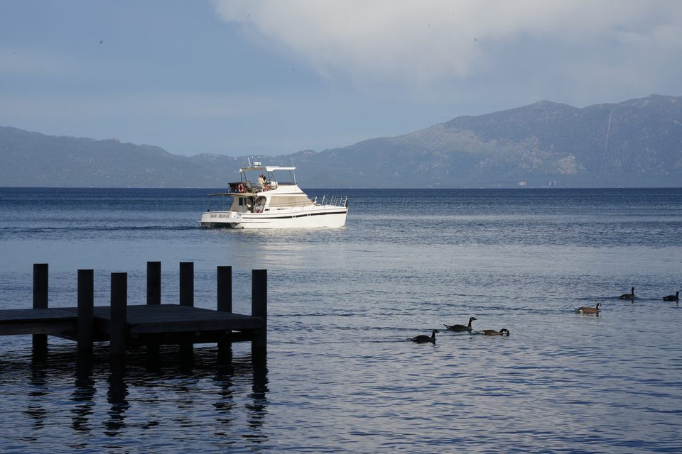 A white motorboat passing a small dock on a lake, geese on the water
