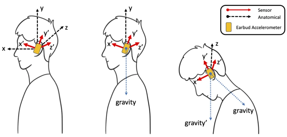 Three side views of a head wearing an earbud, showing the accelerometer's axes against the body's axes and how the direction of gravity shifts as the head tilts forward.